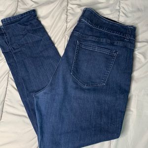 Plus size, skinny leg, long length jeans